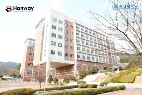 đại học quốc gia pusan