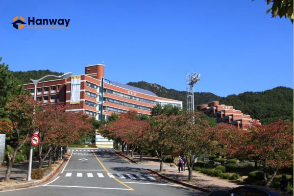 Con đường thơ mộng vào mùa thu tại trường Đại học Silla