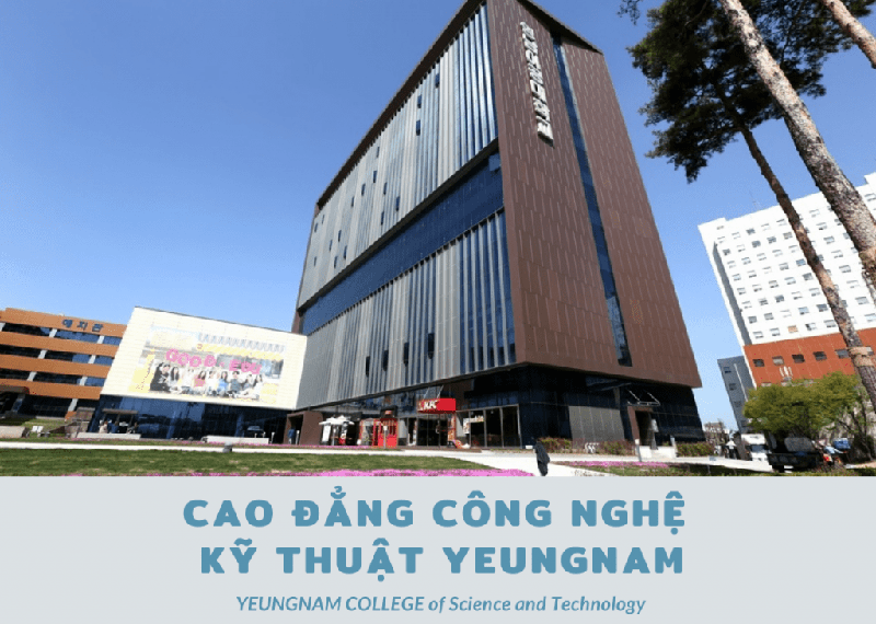 Điểm nổi bật của trường Yeungnam University College