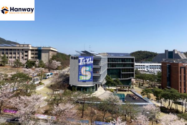 Đại học Semyung