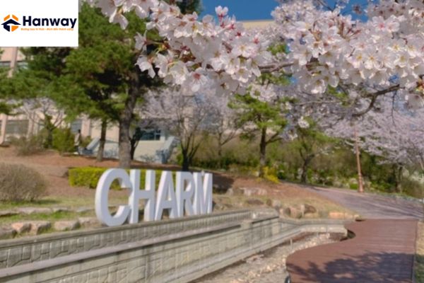 Đại học Semyung