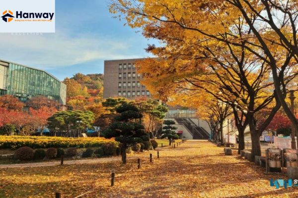 du học hàn quốc đại học soongsil