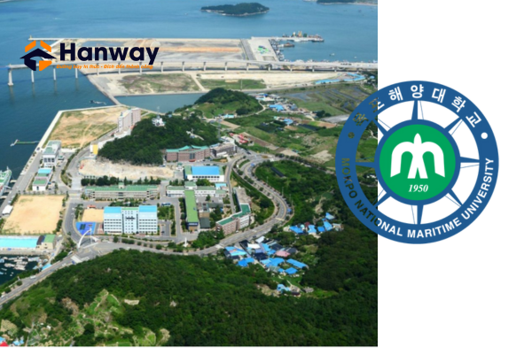 Chương trình đào tạo