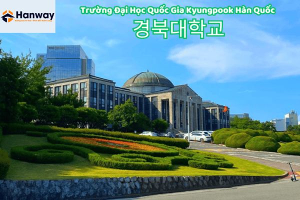 Đại Học Quốc Gia Kyungpook Hàn Quốc có khuôn viên rộng đẹp