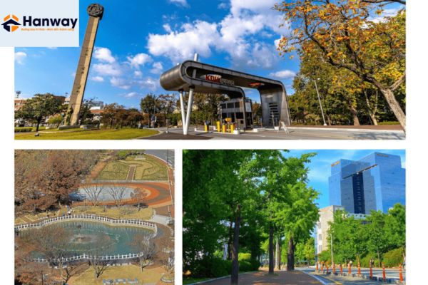 Môi trường học tập lý tưởng khi du học Hàn Quốc hệ tiếng