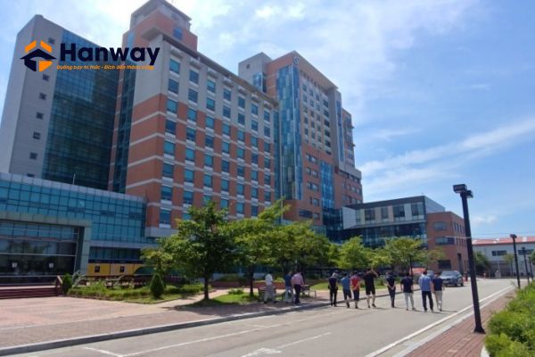 Gyeonggi là một trong những trường đại học đào tạo ngành kỹ thuật tốt nhất Hàn Quốc