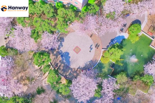 Khuôn viên ngôi trường đại học kyungsung