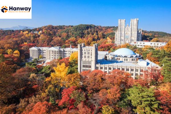 Du học Hàn Quốc Đại học Kyung Hee