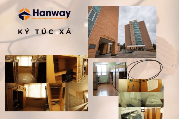 Khu ký túc xá của đại học Hannam Hàn Quốc