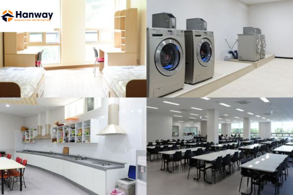 KTX đại học DONGSEO