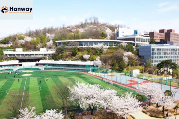 Thông tin về trường đại học Sogang