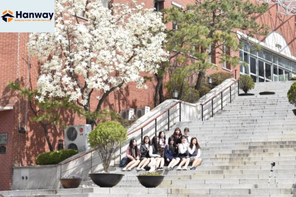 KTX Đại học Sogang Hàn Quốc