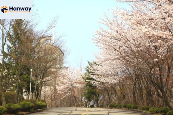 Sinh viên chi trả mức học phí khá rẻ so với mặt bằng chung các trường Đại học tại Seoul