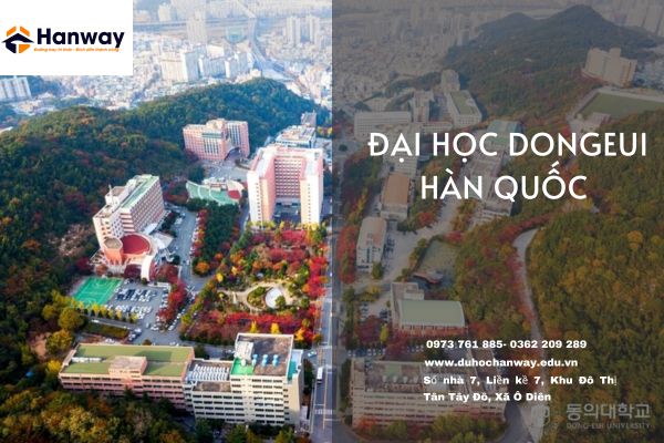 Du Học Hàn Quốc Đại học Dongeui Hàn Quốc