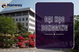 Đại học Donggang là một trường đại học tư thục danh tiếng ở Gwangju