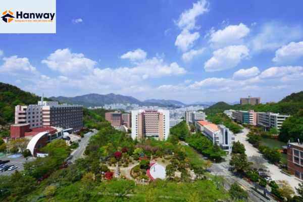 Đại Học DONGEUI