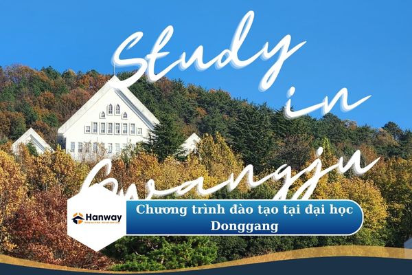 Chương trình đào tạo tại đại học Donggang