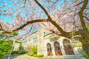Đại học Nữ Ewha – Top 1 Đại học nữ hàng đầu Hàn Quốc